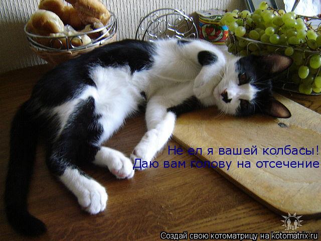 Котоматрица: Не ел я вашей колбасы! Даю вам голову на отсечение.