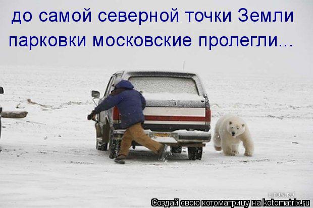 до самой северной точки Земли парковки московские пролегли...... Котоматрица: до самой северной точки Земли парковки московские пролегли...