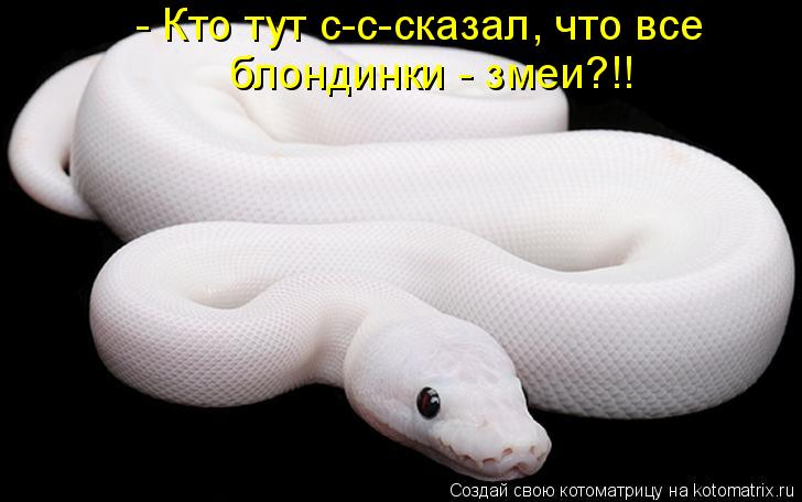 Котоматрица: - Кто тут с-с-сказал, что все блондинки - змеи?!!