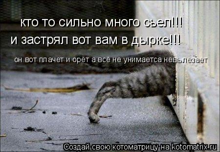 Котоматрица: кто то сильно много сьел!!! и застрял вот вам в дырке!!! он вот плачет и орёт а всё не унимаетса невылезает
