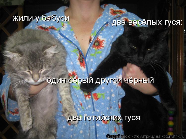 жили у бабуси два весёлых гуся: один серый другой чёрный два готийских гуся... Котоматрица: жили у бабуси два весёлых гуся: один серый другой чёрный два готийских гуся