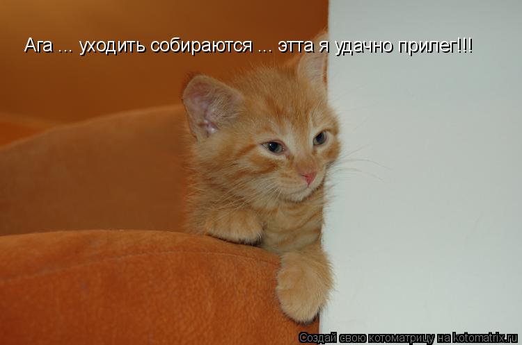 Котоматрица: Ага ... уходить собираются ... этта я удачно прилег!!!