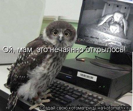 Котоматрица: Ой, мам, это нечаянно открылось!