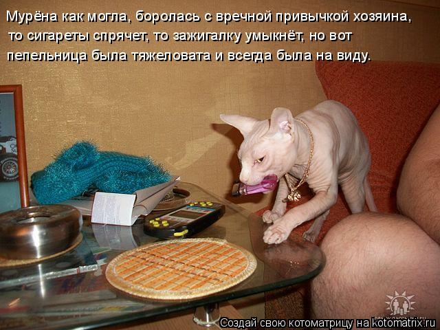 Котоматрица: Мурёна как могла, боролась с вречной привычкой хозяина, то сигареты спрячет, то зажигалку умыкнёт, но вот  пепельница была тяжеловата и всег