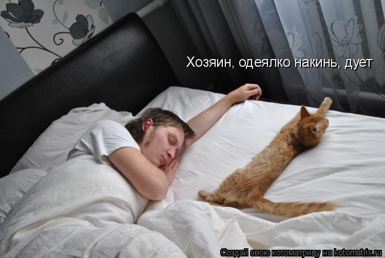 Котоматрица: Хозяин, одеялко накинь, дует