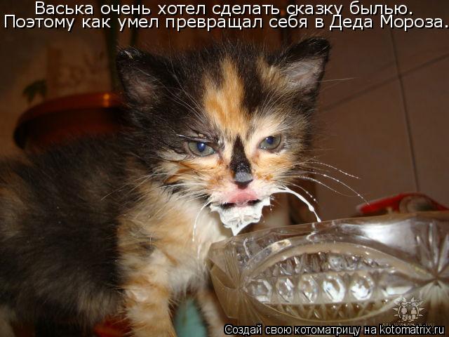 Котоматрица: Васька очень хотел сделать сказку былью. Поэтому как умел превращал себя в Деда Мороза.