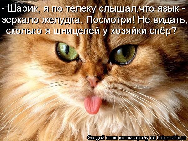 - Шарик, я по телеку слышал,что язык - зеркало желудка. Посмотри! Не видать, сколько я шницелей у хо... Котоматрица: - Шарик, я по телеку слышал,что язык - зеркало желудка. Посмотри! Не видать, сколько я шницелей у хозяйки спёр?