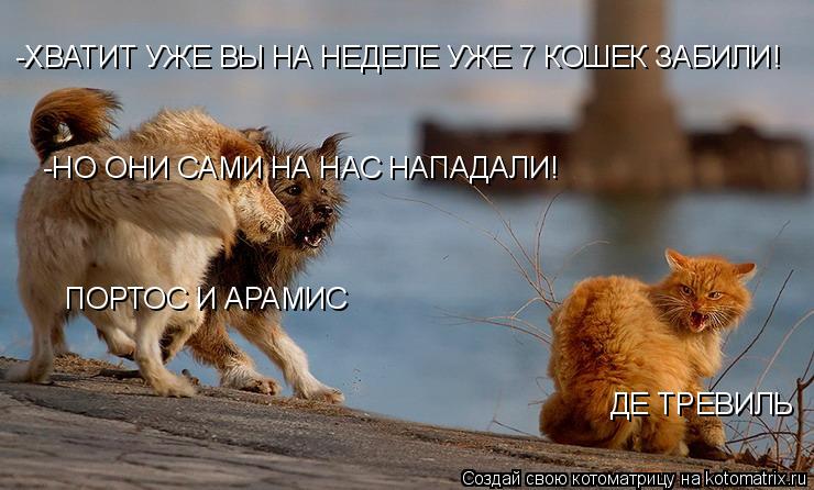 Котоматрица: ДЕ ТРЕВИЛЬ ПОРТОС И АРАМИС -ХВАТИТ УЖЕ ВЫ НА НЕДЕЛЕ УЖЕ 7 КОШЕК ЗАБИЛИ! -НО ОНИ САМИ НА НАС НАПАДАЛИ!