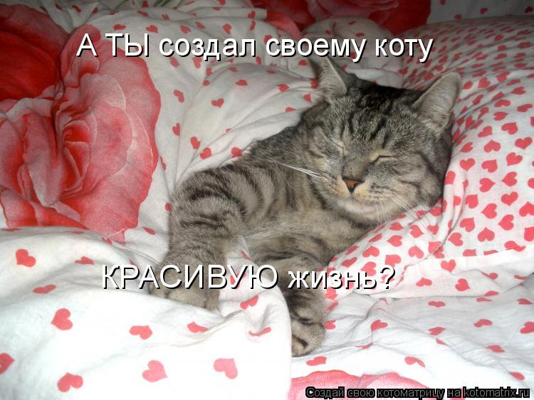 http://kotomatrix.ru/images/lolz/2012/01/19/1087117.jpg