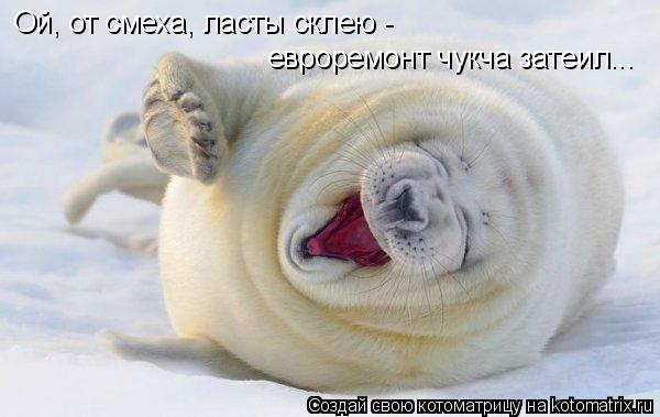 Котоматрица: Ой, от смеха, ласты склею - евроремонт чукча затеил...