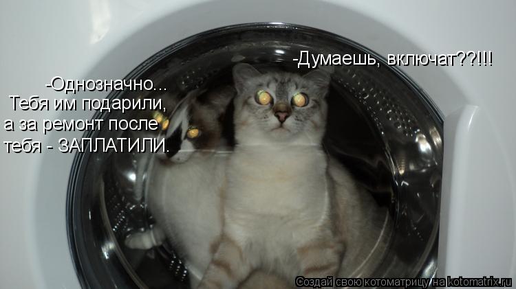 Котоматрица: -Думаешь, включат??!!! -Однозначно... Тебя им подарили, а за ремонт после  тебя - ЗАПЛАТИЛИ.