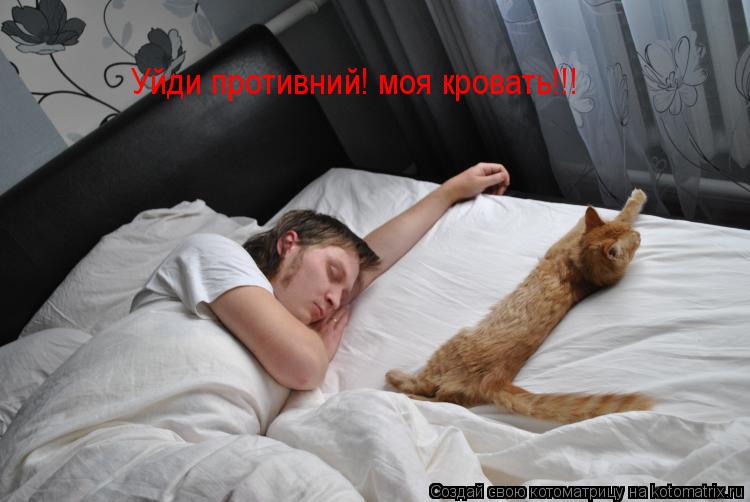 Котоматрица: Уйди противний! моя кровать!!!