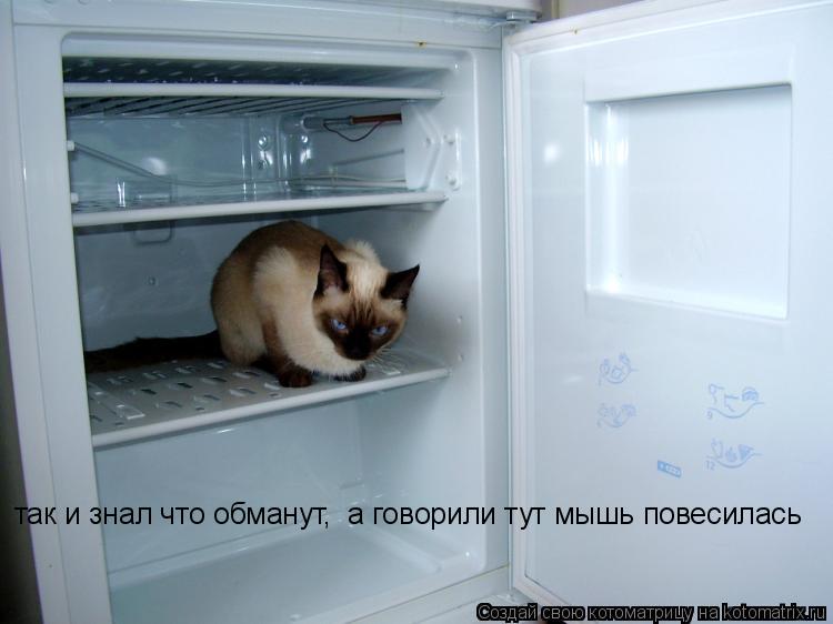 Котоматрица: так и знал что обманут,  а говорили тут мышь повесилась