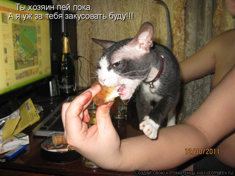 Котоматрица: Ты хозяин пей пока. А я уж за тебя закусовать буду!!!