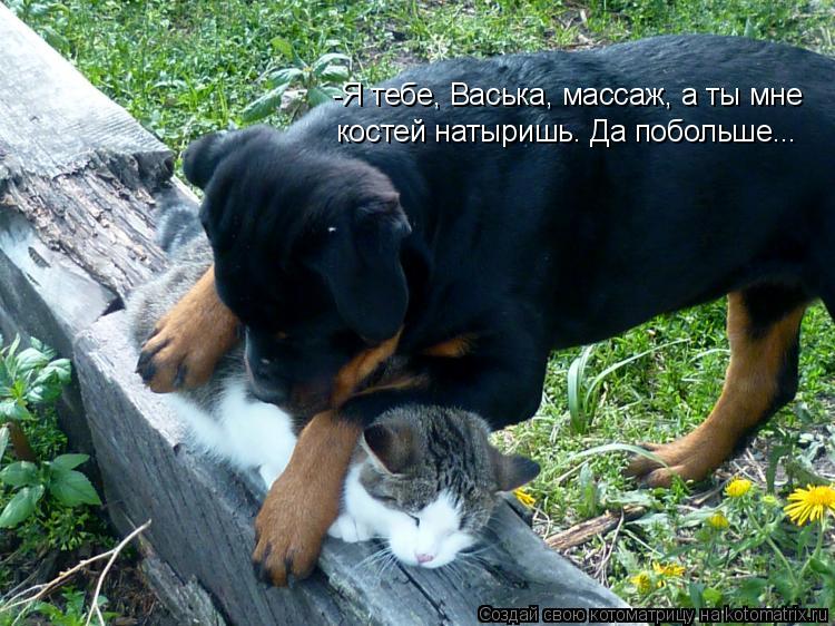 -Я тебе, Васька, массаж, а ты мне костей натыришь. Да побольше...... Котоматрица: -Я тебе, Васька, массаж, а ты мне костей натыришь. Да побольше...