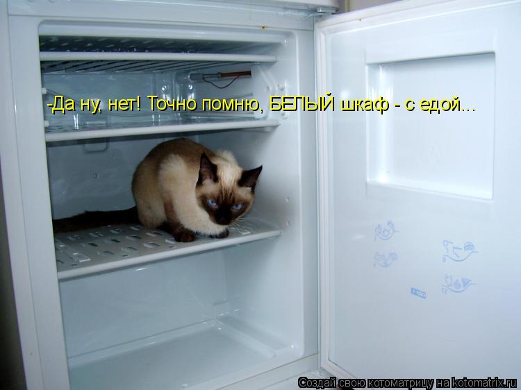 -Да ну, нет! Точно помню, БЕЛЫЙ шкаф - с едой...... Котоматрица: -Да ну, нет! Точно помню, БЕЛЫЙ шкаф - с едой...