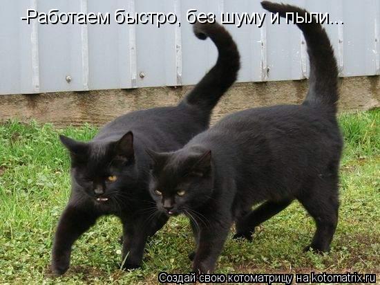 -Работаем быстро, без шуму и пыли...... Котоматрица: -Работаем быстро, без шуму и пыли...
