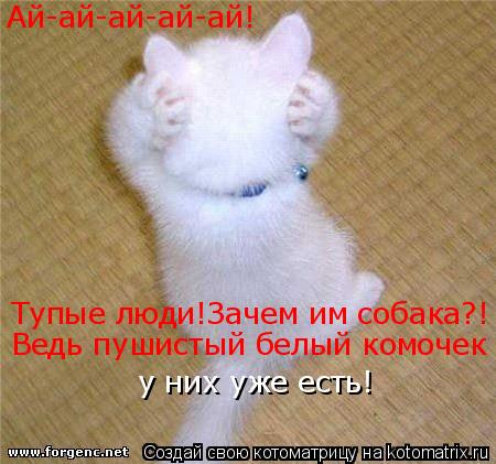 Ай-ай-ай-ай-ай! Тупые люди!Зачем им собака?! Ведь пушистый белый комочек у них уже есть!... Котоматрица: Ай-ай-ай-ай-ай! Тупые люди!Зачем им собака?! Ведь пушистый белый комочек у них уже есть!