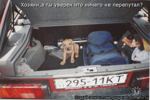 Хозяин,а ты уверен что ничего не перепутал?... Котоматрица: Хозяин,а ты уверен что ничего не перепутал?