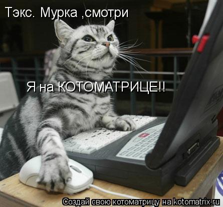 Тэкс. Мурка ,смотри Я на КОТОМАТРИЦЕ!!... Котоматрица: Тэкс. Мурка ,смотри Я на КОТОМАТРИЦЕ!!