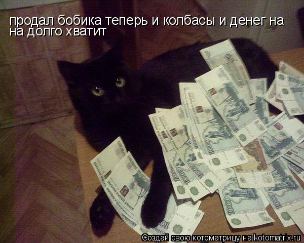 Котоматрица: продал бобика теперь и колбасы и денег на на долго хватит