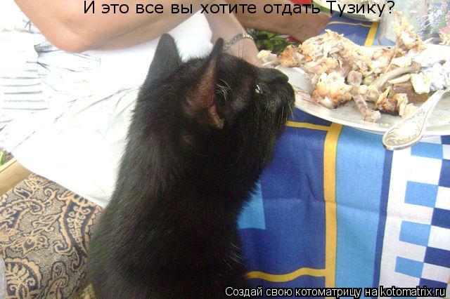 И это все вы хотите отдать Тузику?... Котоматрица: И это все вы хотите отдать Тузику?