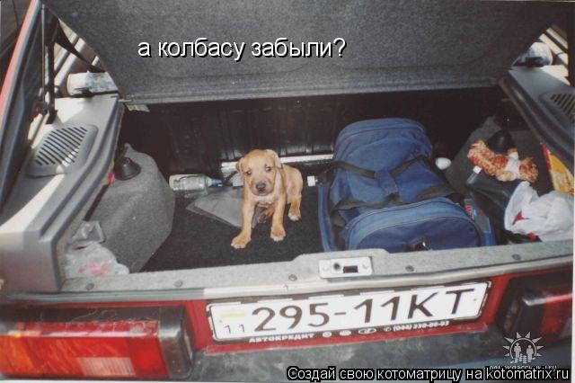 а колбасу забыли?... Котоматрица: а колбасу забыли?