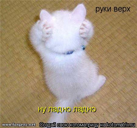 руки верх ну ладно ладно... Котоматрица: руки верх ну ладно ладно