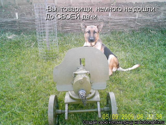 -Вы, товарищи, немного не дошли. До СВОЕЙ дачи...... Котоматрица: -Вы, товарищи, немного не дошли. До СВОЕЙ дачи...