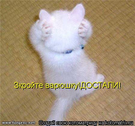Зкройте варюшку!ДОСТАЛИ!... Котоматрица: Зкройте варюшку!ДОСТАЛИ!