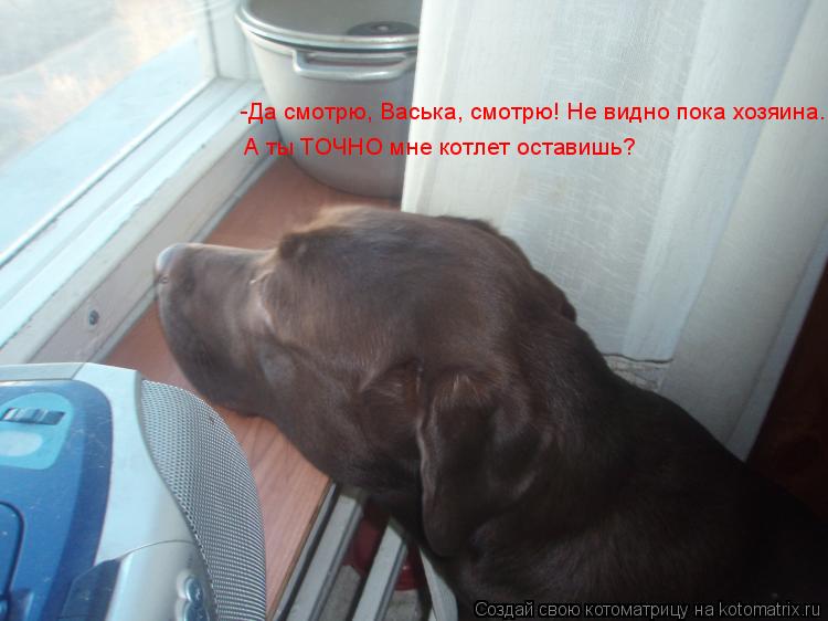 -Да смотрю, Васька, смотрю! Не видно пока хозяина. А ты ТОЧНО мне котлет оставишь?... Котоматрица: -Да смотрю, Васька, смотрю! Не видно пока хозяина. А ты ТОЧНО мне котлет оставишь?
