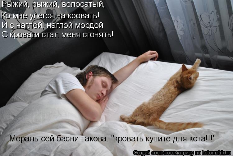 Рыжий, рыжий, волосатый, Ко мне улегся на кровать! И с наглой, наглой мордой С кровати стал меня сгон... Котоматрица: Рыжий, рыжий, волосатый, Ко мне улегся на кровать! И с наглой, наглой мордой С кровати стал меня сгонять! Мораль сей басни такова: "кровать куп