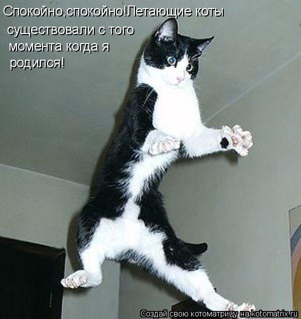 Спокойно,спокойно!Летающие коты существовали с того момента когда я родился!... Котоматрица: Спокойно,спокойно!Летающие коты существовали с того момента когда я родился!