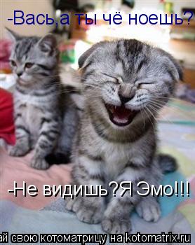 -Вась,а ты чё ноешь? -Не видишь?Я Эмо!!!... Котоматрица: -Вась,а ты чё ноешь? -Не видишь?Я Эмо!!!