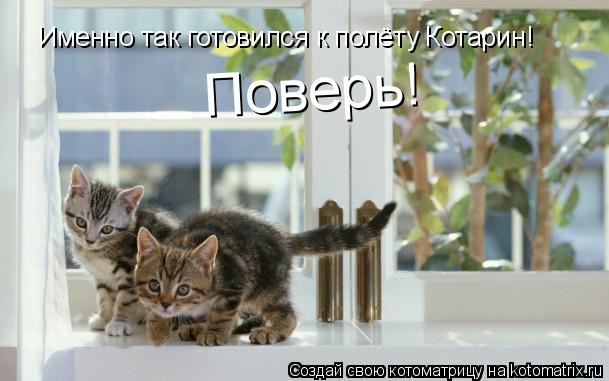 Именно так готовился к полёту Котарин! Поверь!... Котоматрица: Именно так готовился к полёту Котарин! Поверь!
