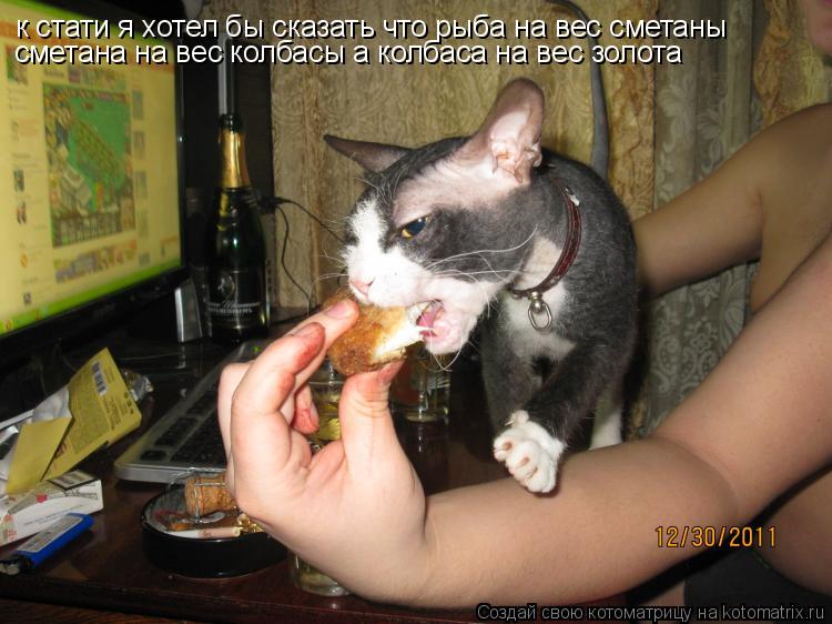 к стати я хотел бы сказать что рыба на вес сметаны сметана на вес колбасы а колбаса на вес золота... Котоматрица: к стати я хотел бы сказать что рыба на вес сметаны сметана на вес колбасы а колбаса на вес золота