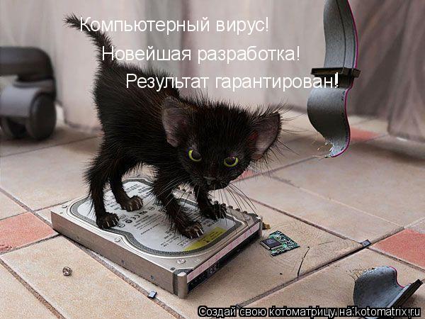 Котоматрица: !