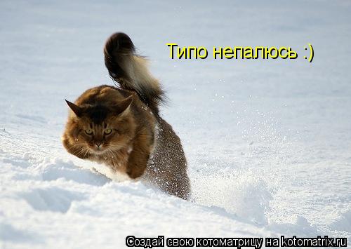 Котоматрица: Типо непалюсь :)