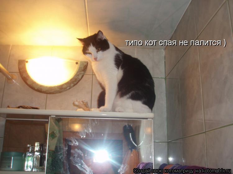 Котоматрица: типо кот спая не палится )