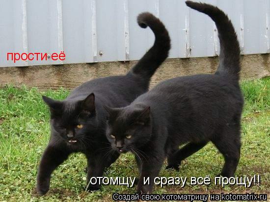Котоматрица: прости её   отомщу  и сразу всё прощу!!