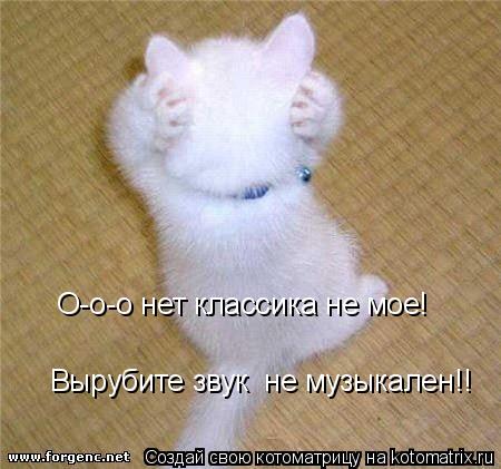 О-о-о нет классика не мое! Вырубите звук не музыкален!!... Котоматрица: О-о-о нет классика не мое! Вырубите звук не музыкален!!