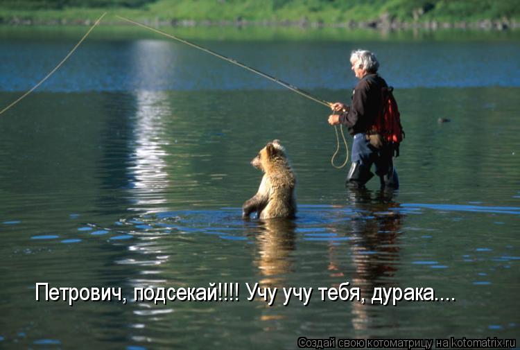 Петрович, подсекай!!!! Учу учу тебя, дурака....... Котоматрица: Петрович, подсекай!!!! Учу учу тебя, дурака....