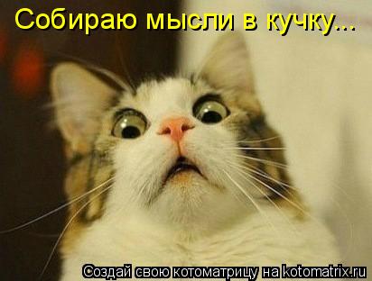Собираю мысли в кучку...... Котоматрица: Собираю мысли в кучку...