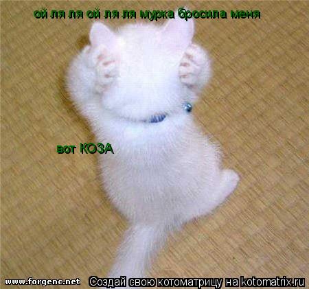 ой ля ля ой ля ля мурка бросила меня вот КОЗА... Котоматрица: ой ля ля ой ля ля мурка бросила меня вот КОЗА