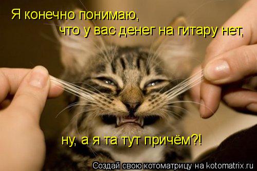 Котоматрица: Я конечно понимаю,  что у вас денег на гитару нет, ну, а я та тут причём?!