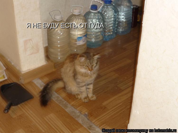 Котоматрица: Я НЕ БУДУ ЕСТЬ ОТТУДА