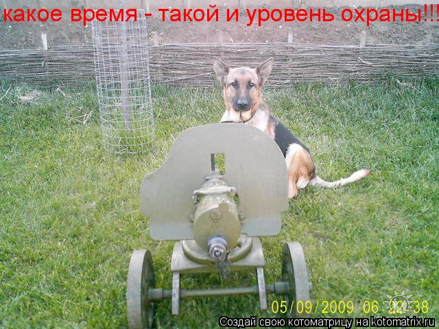 Котоматрица: какое время - такой и уровень охраны!!!