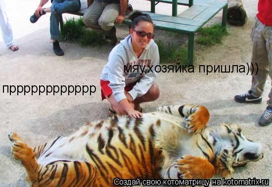 Котоматрица: мяу,хозяйка пришла))) прррррррррррр