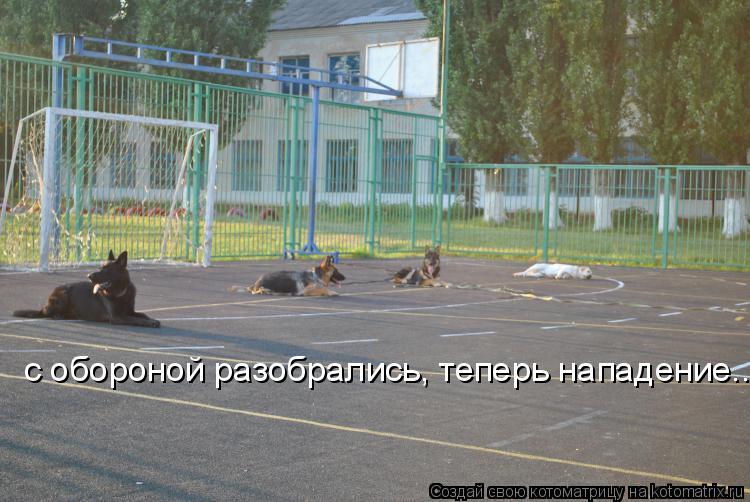 Котоматрица: с обороной разобрались, теперь нападение...