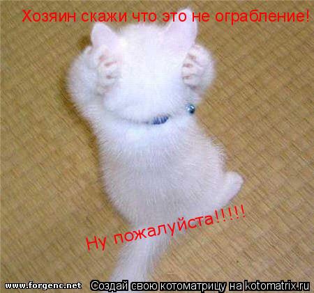 Котоматрица: Хозяин скажи что это не ограбление! Ну пожалуйста!!!!!